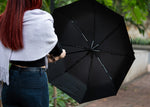 3038516e.jpg