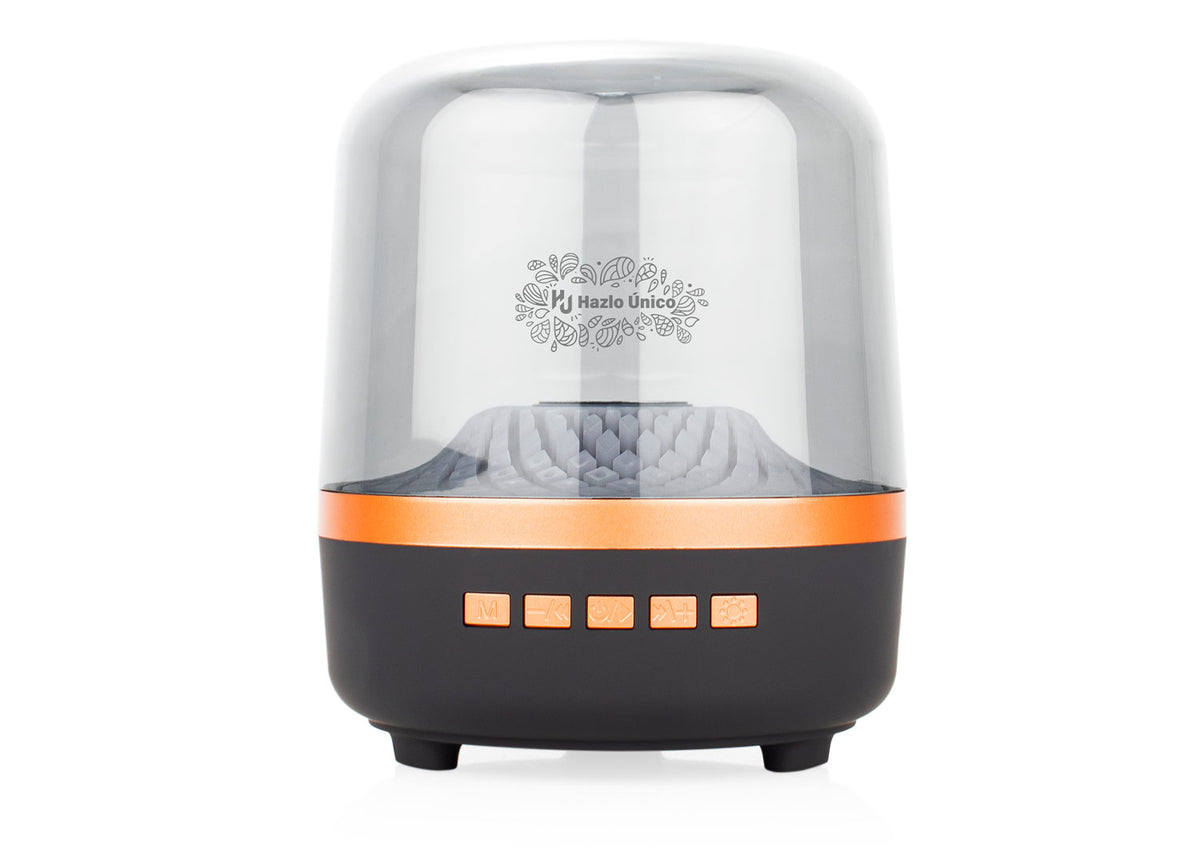 Altavoz McCartney